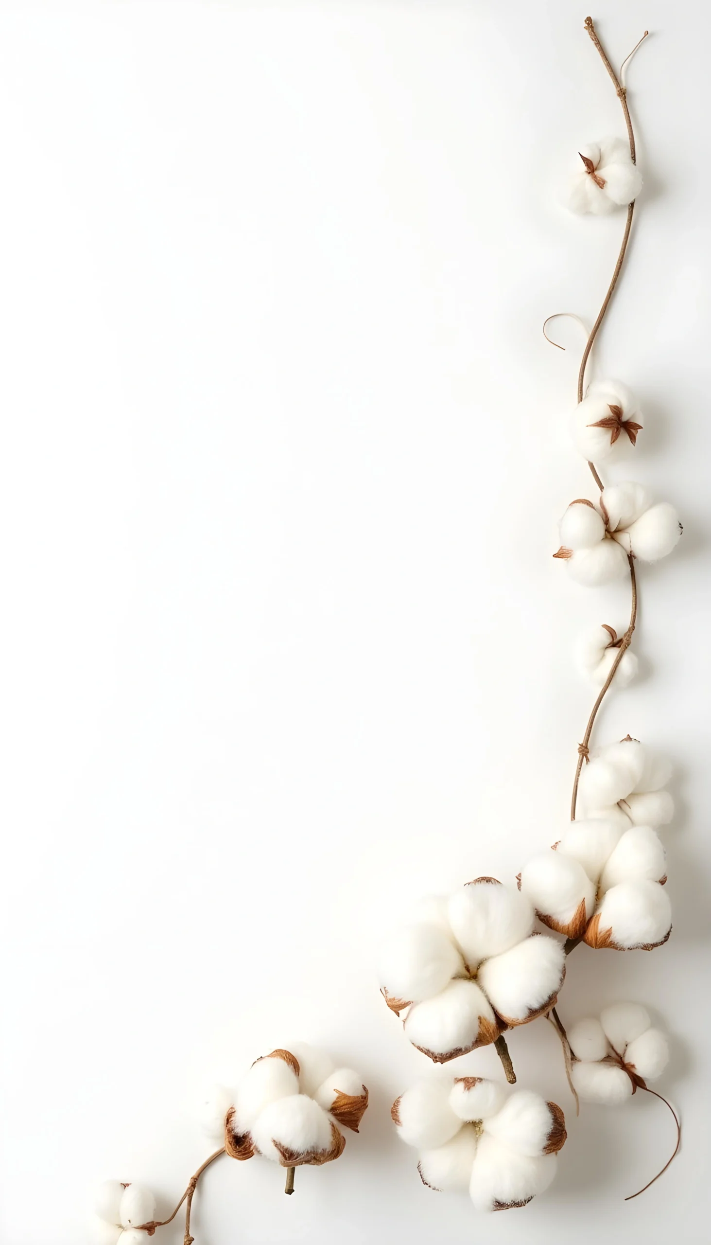 freepik_edit_flatlay-of-cotton-clothing-production-tools-thread